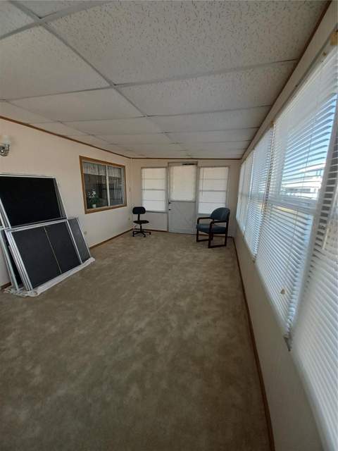34604 Petunia Place, Zephyrhills FL - photo 19 of 23