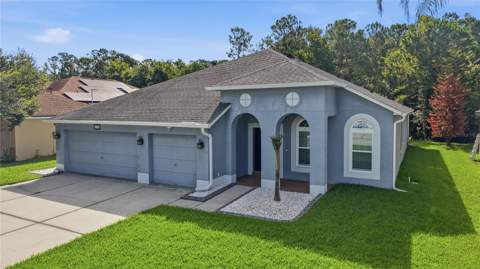 5150 Villagebrook Drive, Wesley Chapel FL - photo 6 of 70