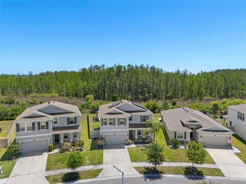8693 Bower Bass Circle, Wesley Chapel FL - photo 24 of 28