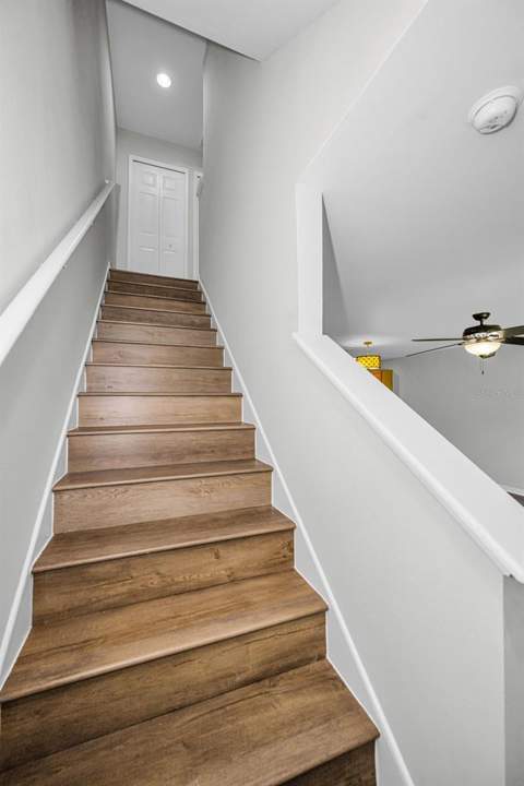 8013 Sutton Terrace Lane, Tampa FL - photo 17 of 38