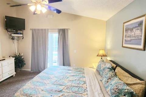 2914 Blooming Alamanda Loop, Kissimmee FL - photo 9 of 21