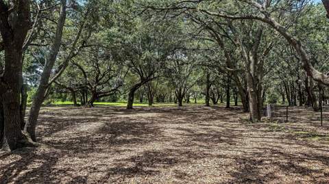 541 Moonstone Court, Groveland FL - photo 20 of 25