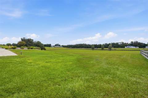 16241 SE 150th Avenue, Weirsdale FL - photo 6 of 6