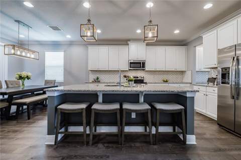 11301 Alachua Creek Lane, Riverview FL - photo 14 of 42