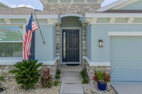 8382 Bower Bass Circle, Wesley Chapel FL - photo 6 of 79
