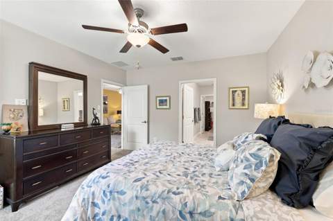 5305 Stoic Vale Drive, Wimauma FL - photo 20 of 68