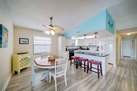 313 Magnolia Avenue, Anna Maria FL - photo 8 of 30