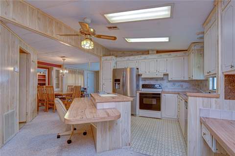 35804 Brisa Drive, Zephyrhills FL - photo 12 of 43