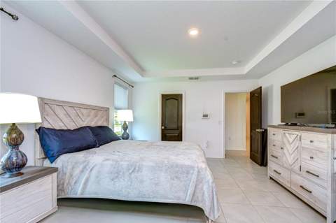 8325 Olive Brook Drive, Wesley Chapel FL - photo 19 of 39