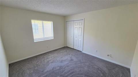 12922 Fieldmoor Court, Riverview FL - photo 15 of 32
