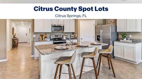 3159 W Edison Place, Dunnellon FL - photo 21 of 21
