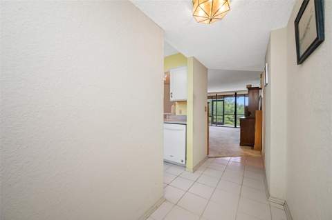 900 Cove Cay Drive #1F, Clearwater FL - photo 23 of 69