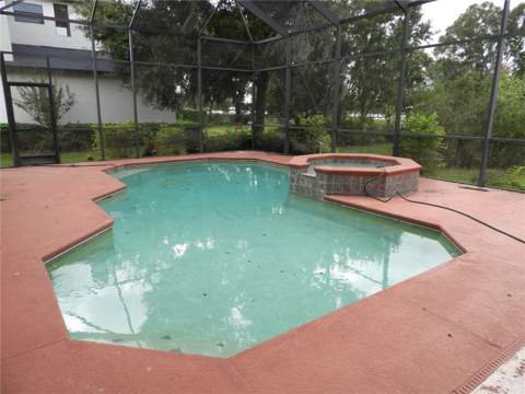 19820 Wellington Manor Boulevard, Lutz FL - photo 13 of 58