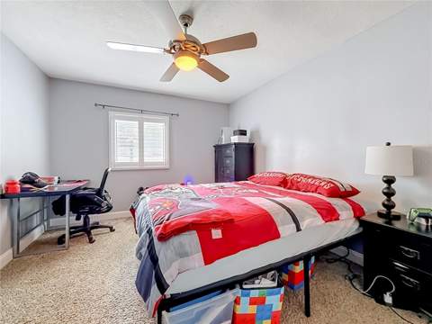 8502 N Otis Avenue, Tampa FL - photo 23 of 83
