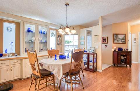 258 Pelican Drive, Oldsmar FL - photo 12 of 51