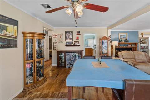 26015 Sackamaxon Drive, Sorrento FL - photo 6 of 28