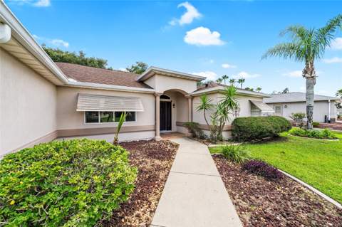9082 SE 135th Loop, Summerfield FL - photo 6 of 6