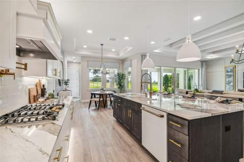 6406 Summit View Drive, Brooksville FL - photo 11 of 56