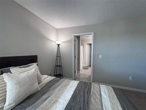 405 Serenity Mill Loop, Ruskin FL - photo 19 of 50