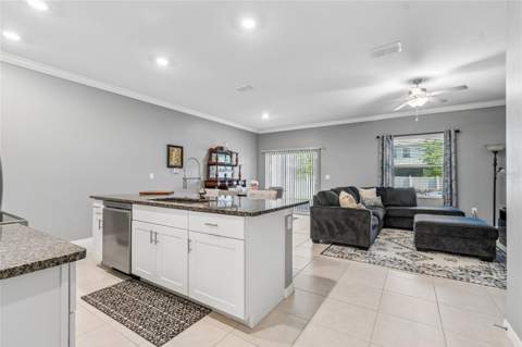 21851 Lyonia Lane, Land O Lakes FL - photo 7 of 50