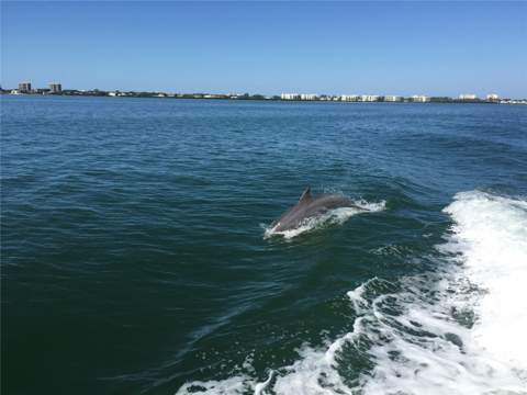 2600 Harbourside Drive #C13, Longboat Key FL - photo 20 of 23