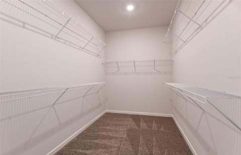 10049 Trellis Vine Way, Parrish FL - photo 16 of 30