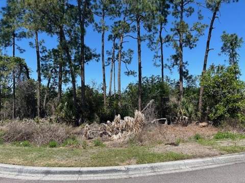 12405 Cruxbury Drive, Windermere FL - photo 22 of 24