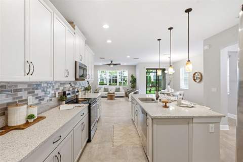 30040 Southwell Lane, Wesley Chapel FL - photo 12 of 61