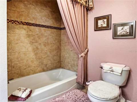 6781 Basswood Circle, Zephyrhills FL - photo 12 of 33