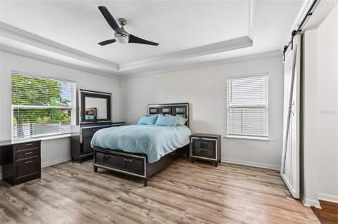 8245 Olive Brook Drive, Wesley Chapel FL - photo 11 of 40