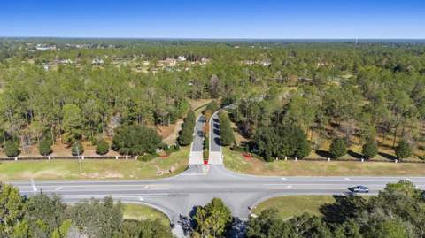 24250 Deep Springs Loop, Eustis FL - photo 6 of 11