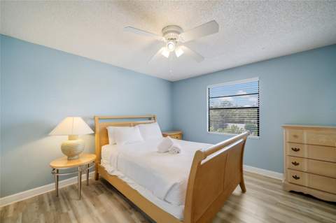 313 Magnolia Avenue, Anna Maria FL - photo 16 of 30