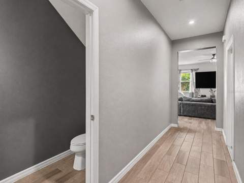 11609 Fringetree Court, Riverview FL - photo 7 of 22