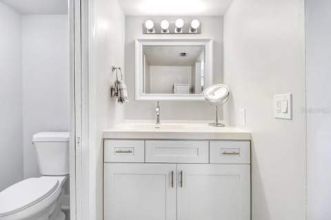 3712 Carrollbrook Road #3712, Tampa FL - photo 7 of 50