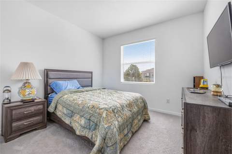 2541 Bending Bonsai Drive, Wesley Chapel FL - photo 16 of 35