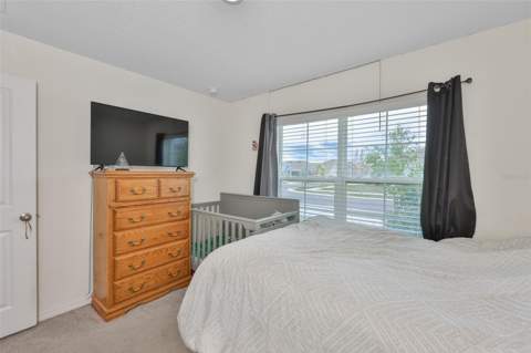 5244 Fiddle Fig Avenue, Wimauma FL - photo 15 of 51