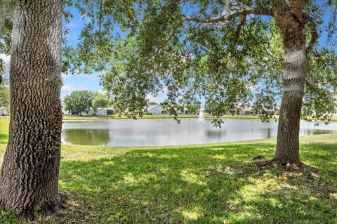 2886 Oconnell Drive, Kissimmee FL - photo 21 of 28