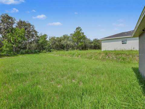 305 Bowfin Drive, Kissimmee FL - photo 12 of 12