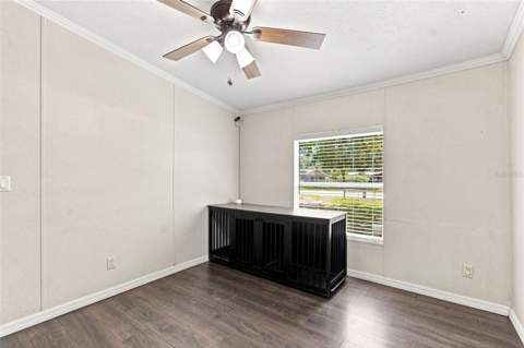 37903 Tucker Road, Zephyrhills FL - photo 18 of 74