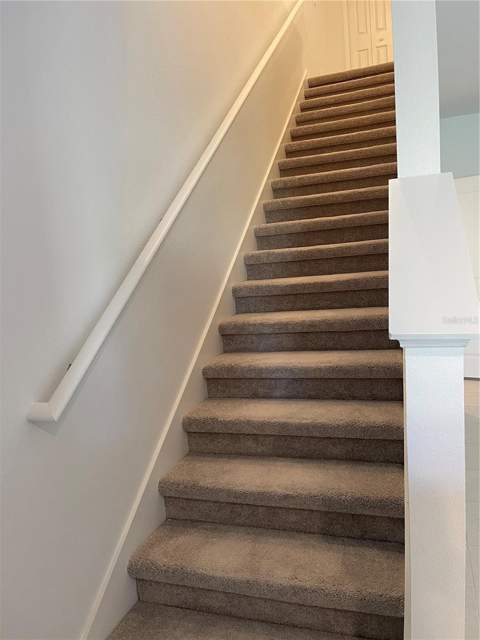 36217 Risa Michele Street, Zephyrhills FL - photo 13 of 26