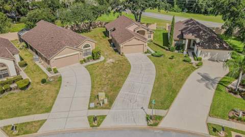 13837 Leroux Drive, Hudson FL - photo 18 of 24