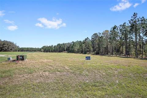 20280 Shoreline Ranch Lane, Umatilla FL - photo 6 of 15