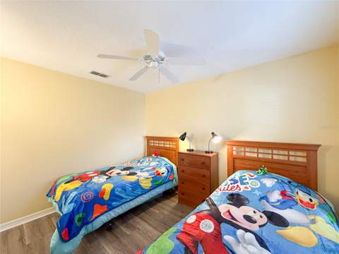 8535 Bay Lilly Loop, Kissimmee FL - photo 21 of 58