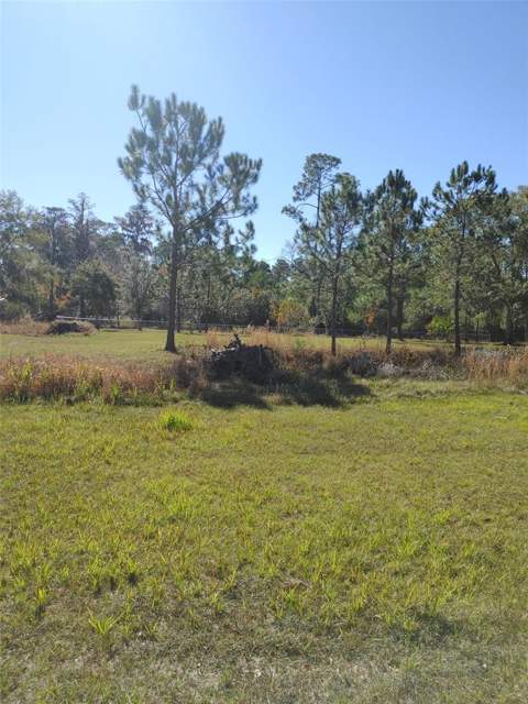 1838 NE 145th Avenue Road, Silver Springs FL - photo 6 of 6