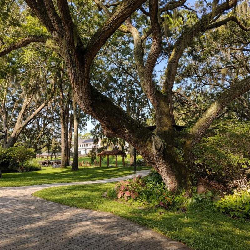 3 bedroom Single Family Residence at 11102 Shady Oak Street, Lake Hart Estate, Orlando — photo 3