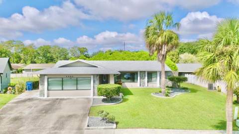 4663 Swallowtail Drive, New Port Richey FL - photo 6 of 6