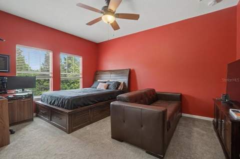 3534 Diaz Street, New Port Richey FL - photo 20 of 70