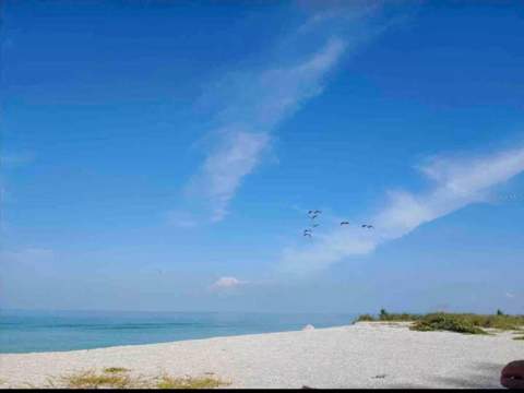 908 Villas Drive #59, Venice FL - photo 12 of 14