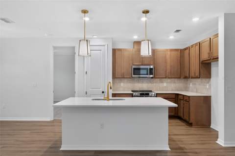 30135 Emerald Forest Drive, Mount Dora FL - photo 6 of 24