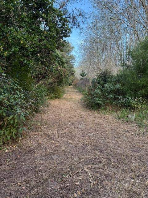 14914 SE 56th Avenue, Summerfield FL - photo 6 of 6